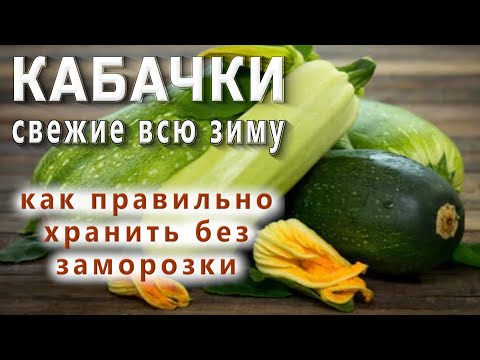 Видео: КАБАЧКИ СВЕЖИЕ ВСЮ ЗИМУ БЕЗ ЗАМОРОЗКИ! КАК ПРАВИЛЬНО ХРАНИТЬ КАБАЧКИ / ZUCCHINI FRESH ALL WINTER