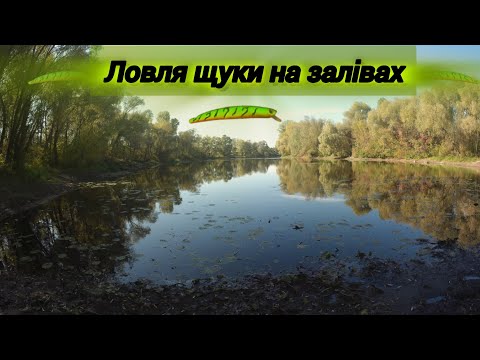 Видео: Ловля щуки на всіх залівах.