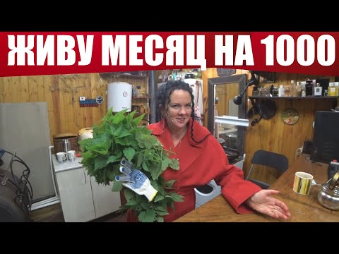 Видео: КАК ПРОЖИТЬ на 1000 рублей МЕСЯЦ? (день 17-19)