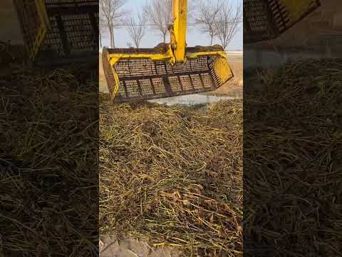 Видео: JCB поймал рыбу 🐠🐟 из реки [150]
