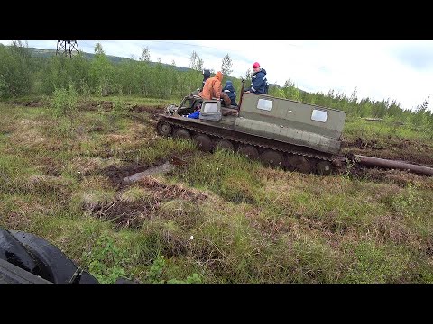 Видео: Вездеход ГТС дизель в Кольских болотах или как Шрек тащил  столб для моста )