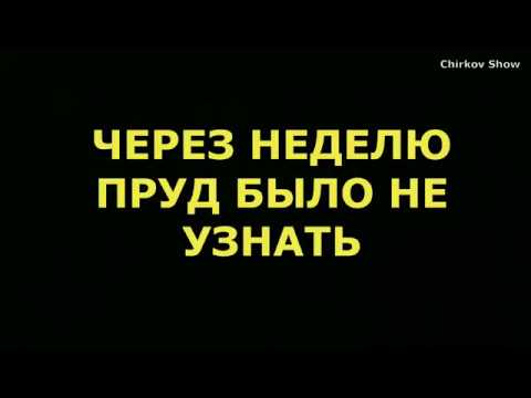 Видео: Биоплато за 3 тысячи рублей