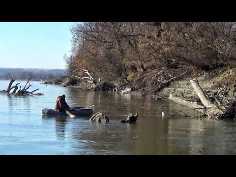 Видео: ЧЁРНЫЙ ЧУТЬ НЕ ВЫДЕРНУЛ СПИННИНГ! ШИКАРНАЯ РЫБАЛКА!