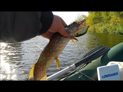 Видео: ТРОЛІНГУЮ НА ОРІЛІ