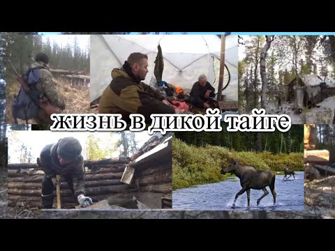 Видео: ПОЛГОДА В ДИКОЙ ТАЙГЕ СИБИРИ.  ВЫЖИВАНИЕ, ПРОМЫСЕЛ, АТМОСФЕРА. (ВСЕ СЕРИИ)