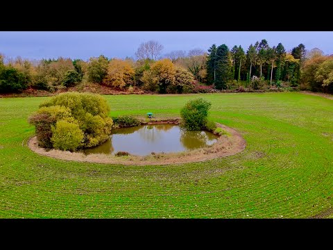 Видео: Ловля карпа в пруду в поле!