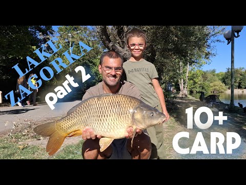 Видео: езерото Загорка част 2 , много шарани , размазахме се #fishing #carpfishing #carp #fish