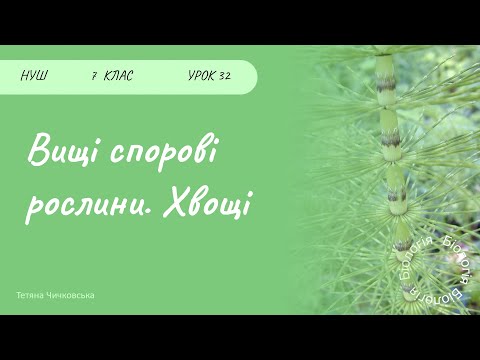 Видео: Вищі спорові рослини. Хвощі