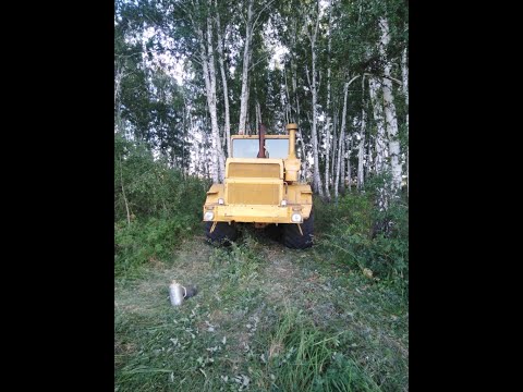 Видео: Лето + 40 К-701 на обработке паров