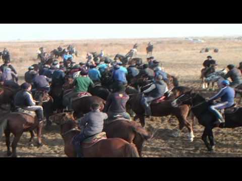 Видео: Кокпар Шардара Қызылқұм ауылы (Мусай Бижанов) 04.12.2017ж. 2-бөлім.