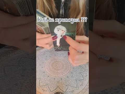 Видео: За кого е това четене? 