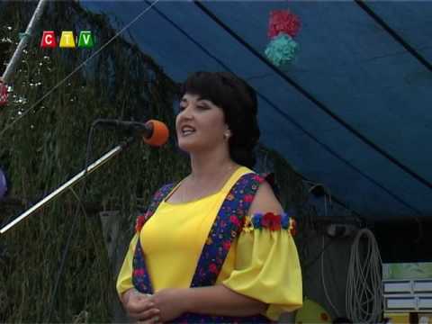 Видео: У селі Олієво-Королівка вперше за останні десятиліття відзначили День села. CiTiVi 2016