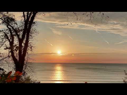 Видео: Зората на новия живот