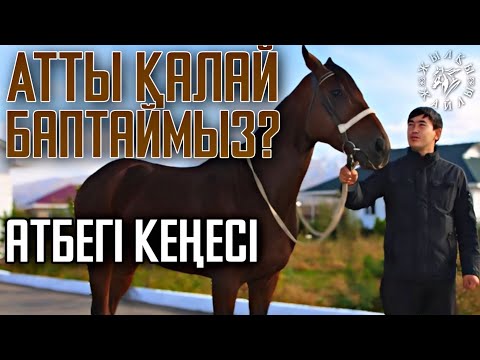 Видео: Тәжірибелі Атбегі Ат Баптаудың СЫРЫМЕН Бөлісті❗👍🏼 - Жылқы Жайды