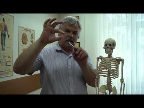 Видео: ГОЛОВНЫЕ БОЛИ СВЯЗАННЫЕ С ГАЙМОРИТОМ (Почему болит голова при гайморите)