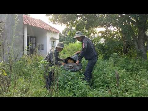 Видео: Двое уборщиков сбежали из-за ужасов, таящихся в заброшенном доме