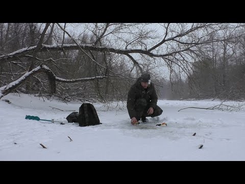 Видео: ЗИМНЯЯ РЫБАЛКА В ФЕВРАЛЕ НА РЕКЕ. Ловля плотвы,густеры,голавля на мормышку.