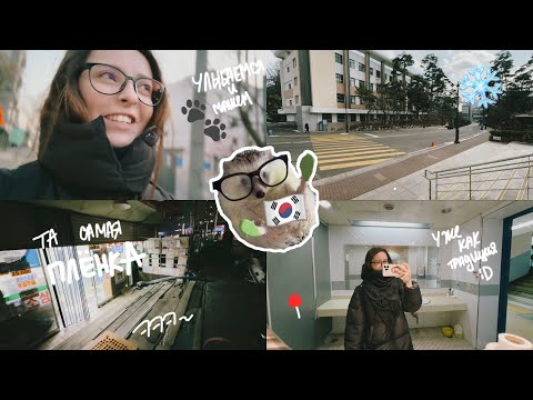 Видео: KOREA VLOG DIARY| последние уроки перед экзаменами на курсах корейского/ мои дни в Корее|8-10.2.2025