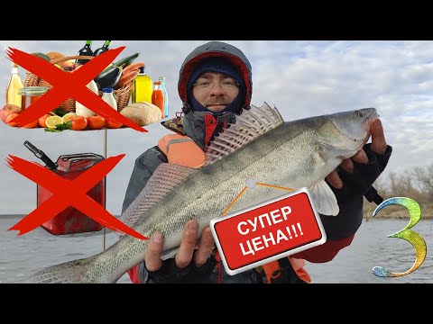 Видео: Да ладно?! Мы отбили рыбалку! Неприлично много судака. Встреча с Stalingrad Fishers.