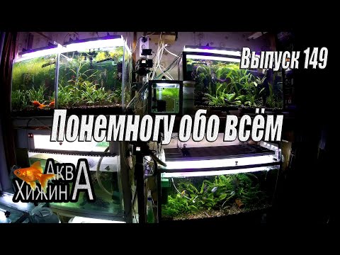 Видео: Вкратце обо всём (Аква Хижина, выпуск 149)