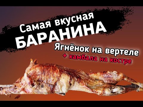 Видео: Рецепт баранины: готовим ягненка на вертеле