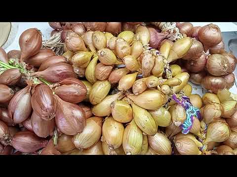 Видео: #семейныйлук Опыт - сын ошибок трудный