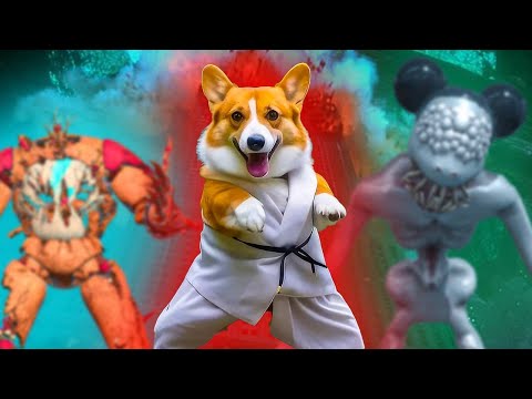 Видео: КУНГ ФУ КОРЖИК ПРОТИВ МОНСТРОВ!! Лучшие серии июля! Корги Коржик Говорящая собака