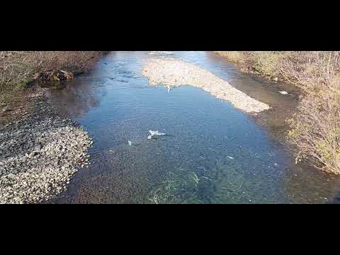Видео: Итуруп