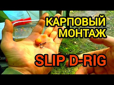 Видео: Карповый монтаж SLIP D-RIG! 