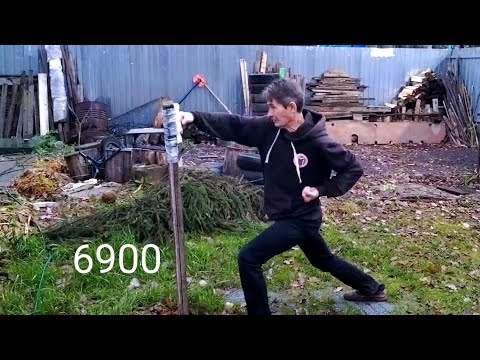 Видео: Удары в макивару. Гьяку-цуки. День 68, 69. 