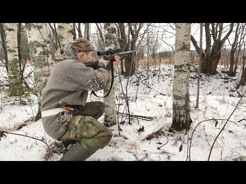 Видео: ВЫСТРЕЛ ПО МЕСТУ. ОХОТА НА ТЕТЕРЕВА С ПОДХОДА ЗИМОЙ. ДОБЫЧА ПТИЦЫ С МЕЛКАШКОЙ. ВСТРЕЧА С ЛОСЕМ.