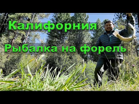 Видео: Димин первый влог. Рыбалка в Калифорнии. Речная форель.