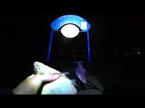 Видео: ВНОЧІ КЛЮЄ КРУПНІШЕ 🐠 Нічний ЛЯЩ 🌙 та РАНКОВА ПЛІТКА 🐟