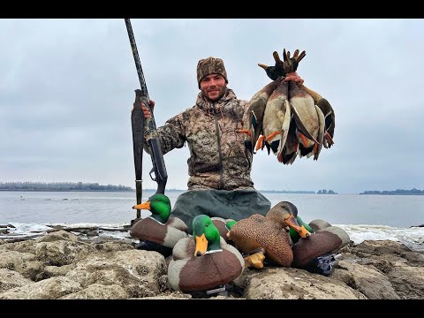 Видео: ОХОТА НА УТКУ. Ноябрь 2020. Duck hunting.