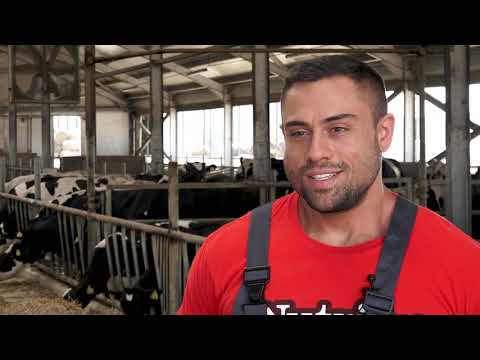 Видео: Ферма за млечни рекорди като по учебник