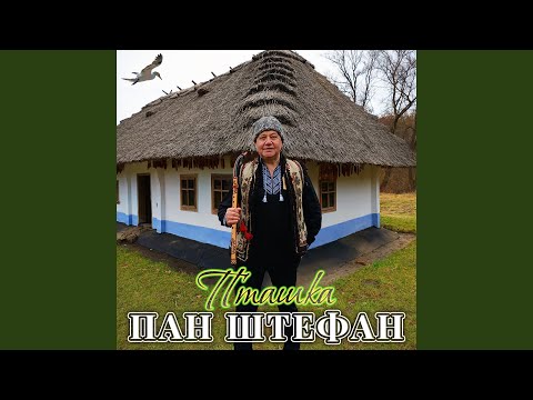 Видео: Пташка