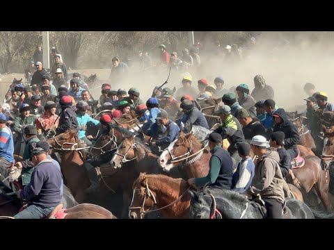 Видео: КАРА КОЙ ЖАЗТО КОЙ ЧОН АЛАМАН УЛАК