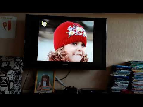 Видео: открытие DVD диска лунтик художники