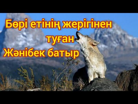 Видео: БӨРІ ЕТІНІҢ ЖЕРІГІНЕН  туған ЖӘНІБЕК батыр