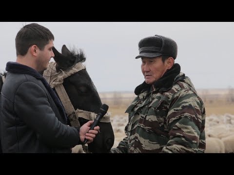 Видео: село Линевка в объективе СТВ