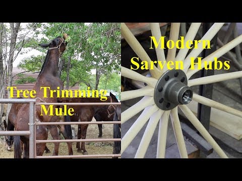 Видео: Мул для обрезки деревьев | Роликовые подшипники Втулки Sarven | Автомастерская Энгельса