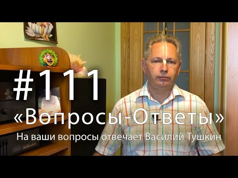 Видео: "Вопросы-Ответы", Выпуск #111 - Василий Тушкин отвечает на ваши вопросы