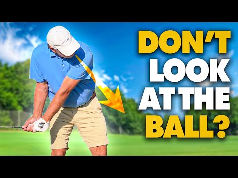 Видео: Миф «Не высовывайтесь» наконец-то проверен (ПРАВДА раскрыта)