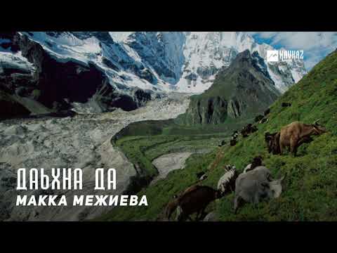 Видео: Макка Межиева - Даьхна да | KAVKAZ MUSIC CHECHNYA