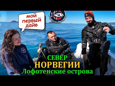 Видео: Первое погружение Ванессы, не обошлось без приключений | Дайвинг в Норвегии | Подводная охота