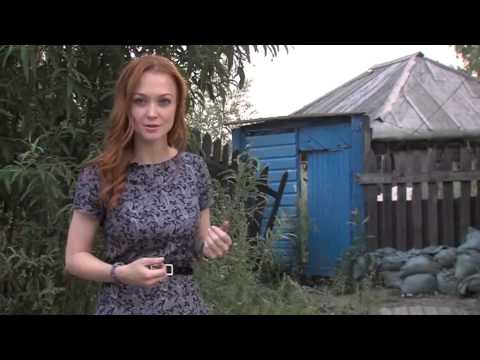 Видео: Сургут. Лето. Настроение