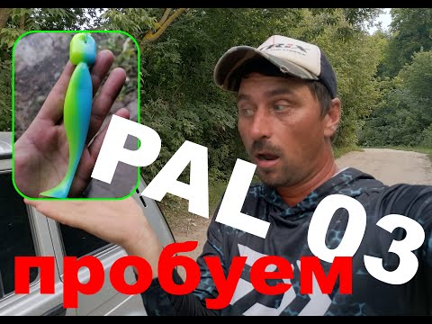 Видео: ЛЬЕМ ЦВЕТ ПРИМАНКИ PAL 03