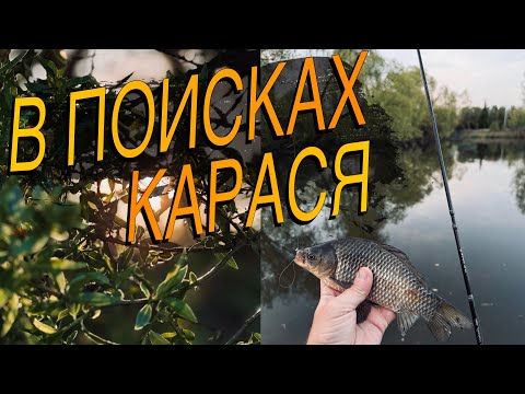 Видео: Мормышинг - Весь День Ловил Мелочь, НО Вечером ВЫШЛИ ОНИ!