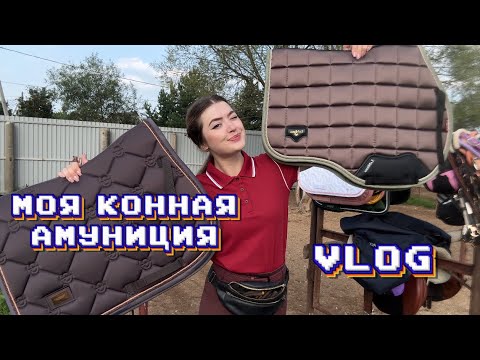 Видео: КОНОБЛОГ | моя конная амуниция 