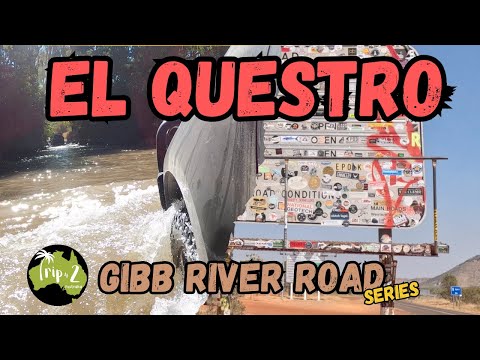 Видео: САМЫЙ ДОРОГОЙ неэлектрифицированный участок, на котором мы КОГДА-ЛИБО останавливались! — Серия «G...